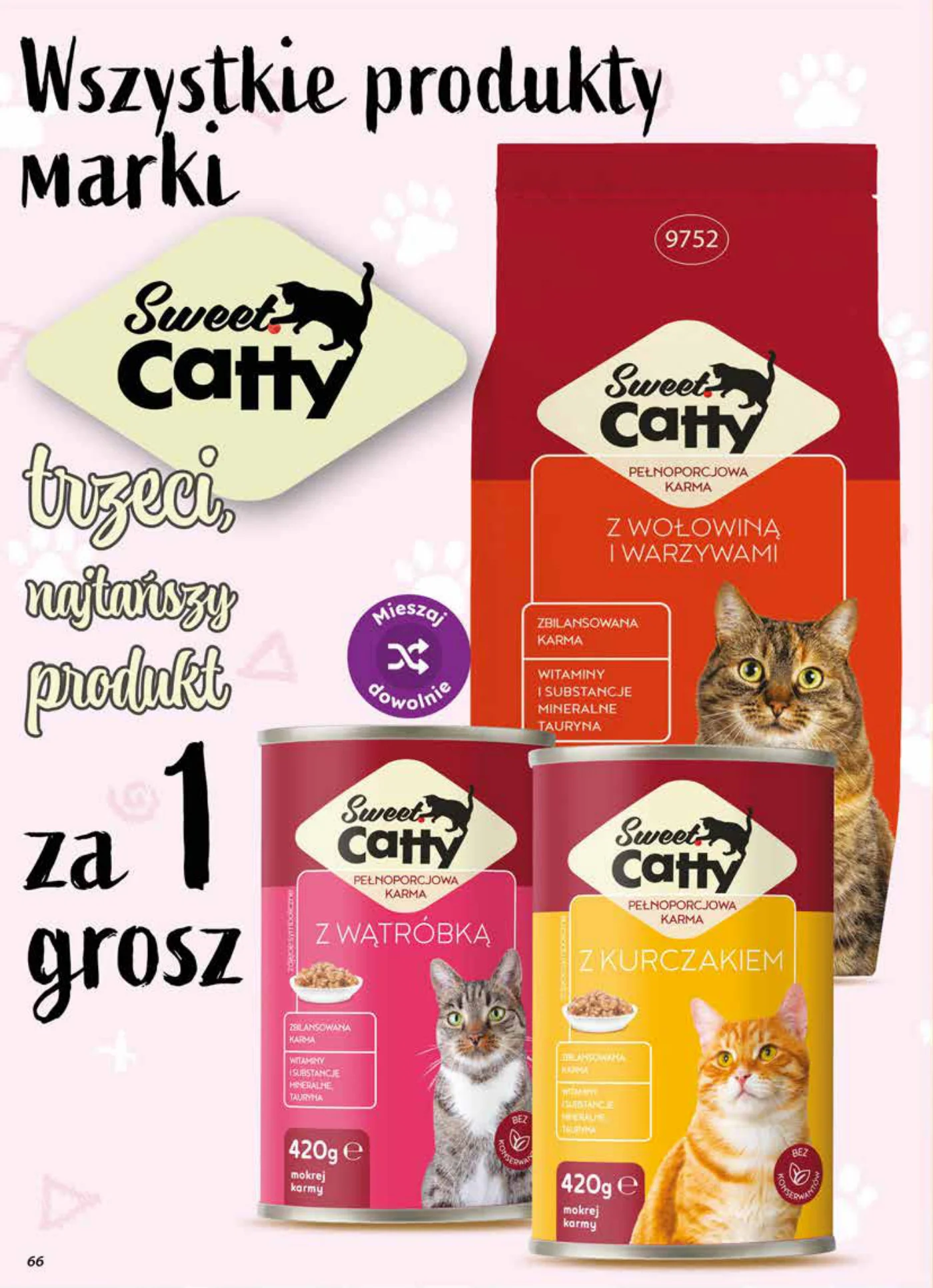 Gazetka promocyjna DINO str. 66