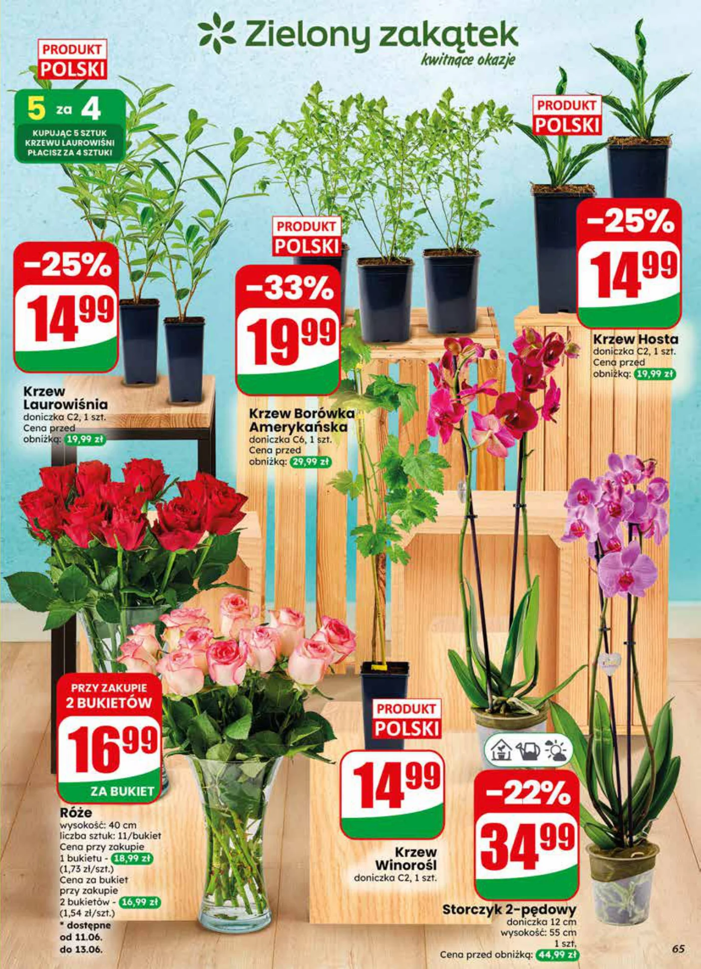 Gazetka promocyjna DINO str. 65