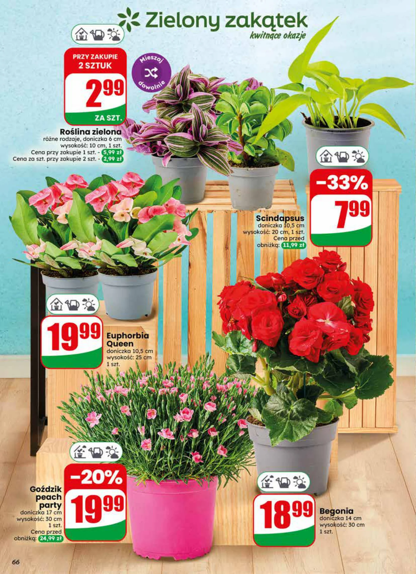 Gazetka promocyjna DINO str. 66