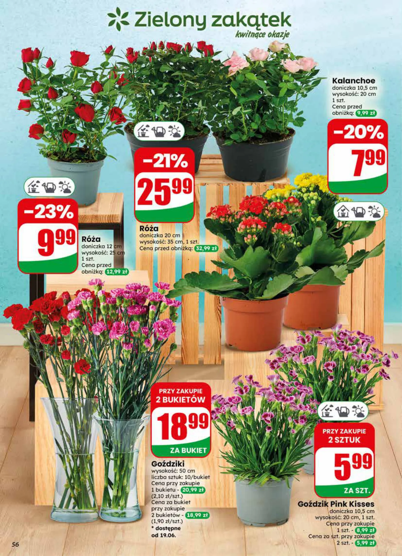 Gazetka promocyjna DINO str. 56