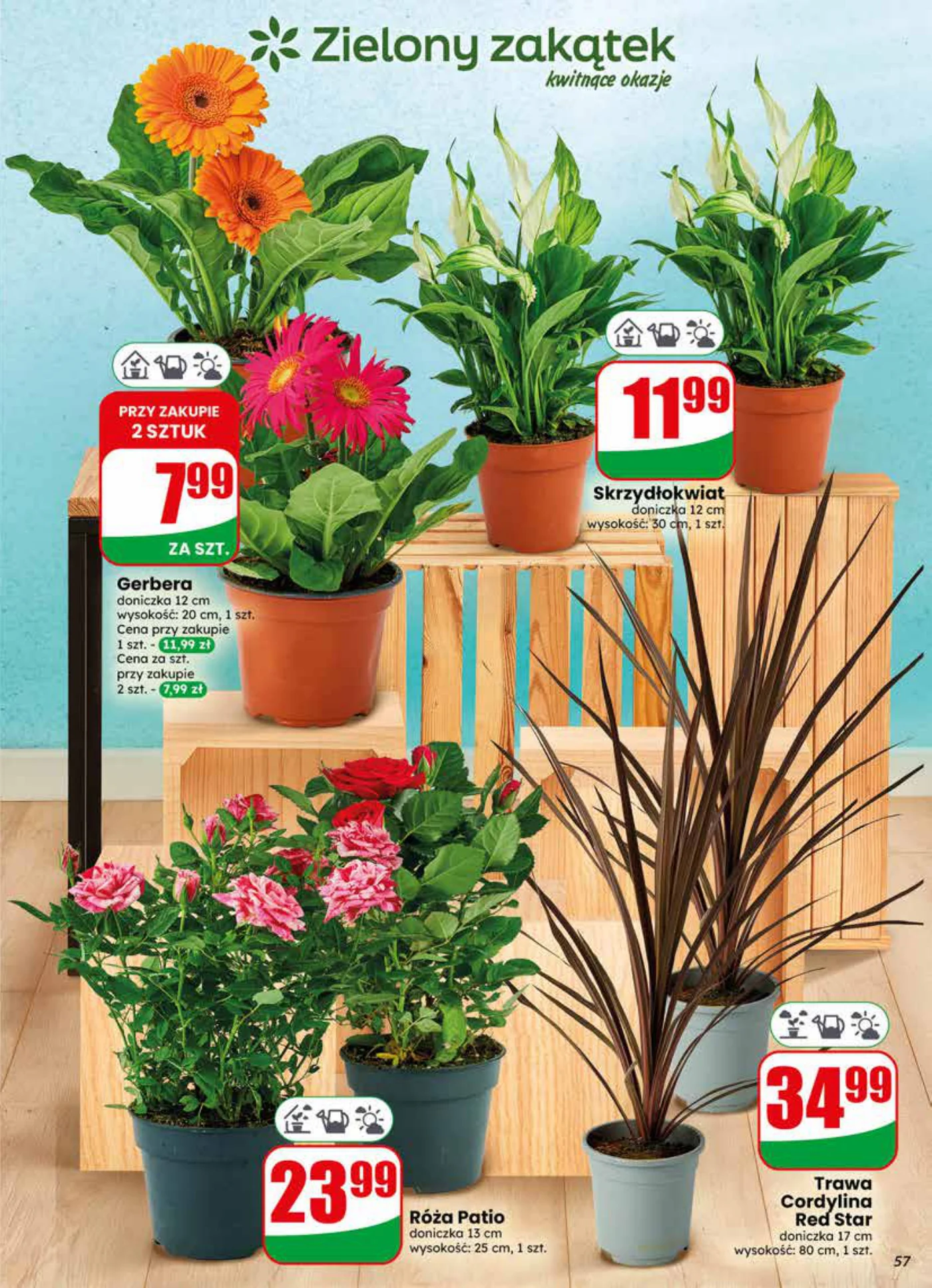 Gazetka promocyjna DINO str. 57