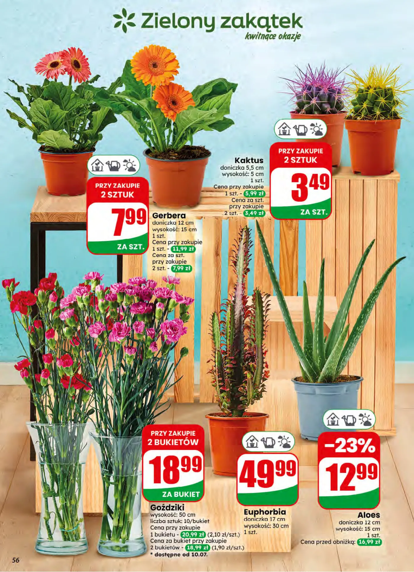 Gazetka promocyjna DINO str. 56