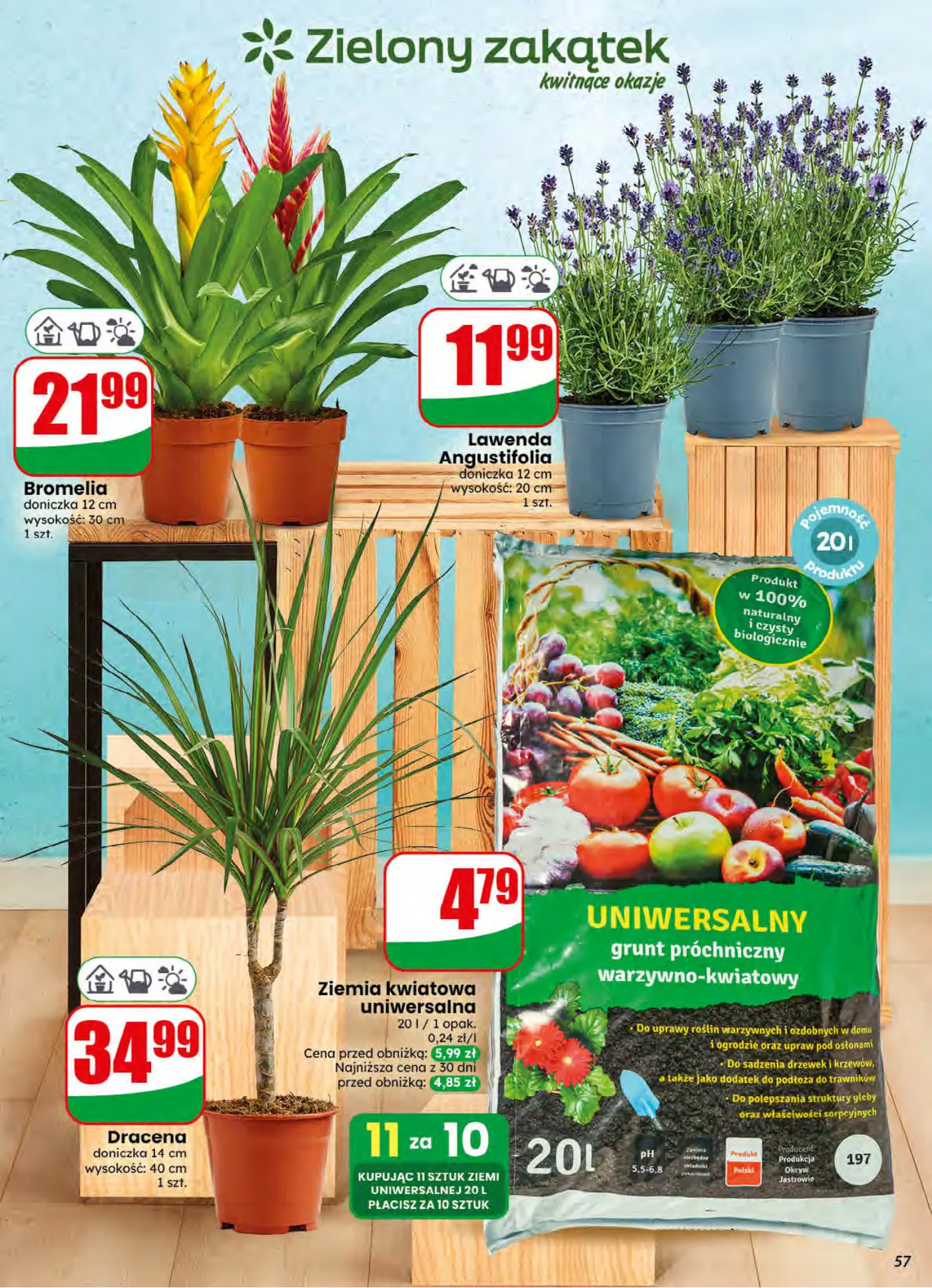 Gazetka promocyjna DINO str. 57