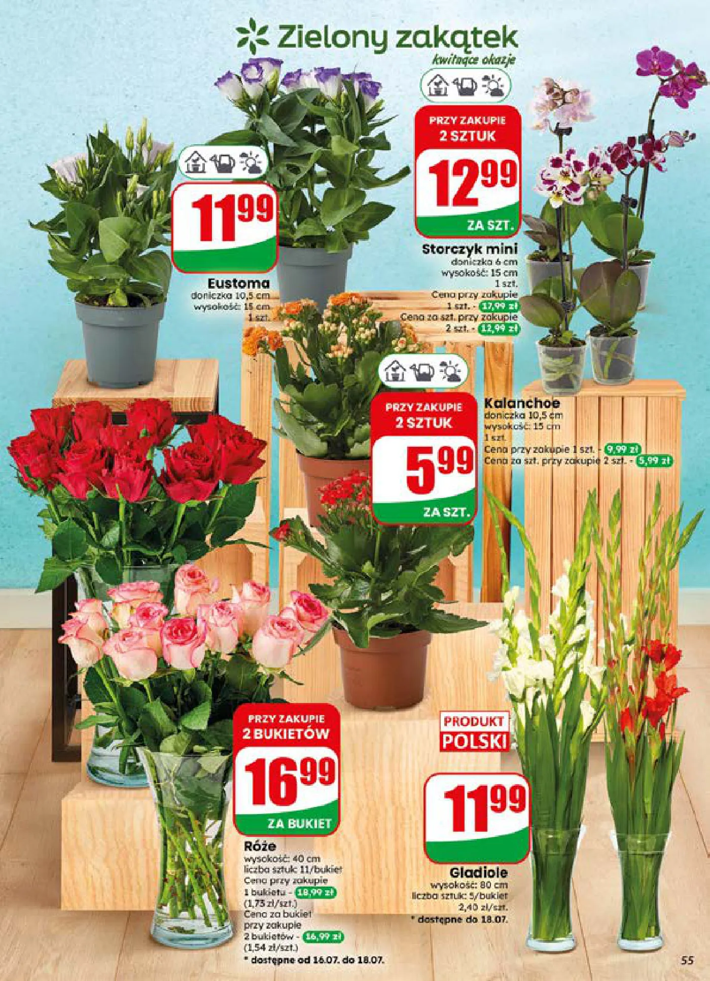 Gazetka promocyjna DINO str. 55