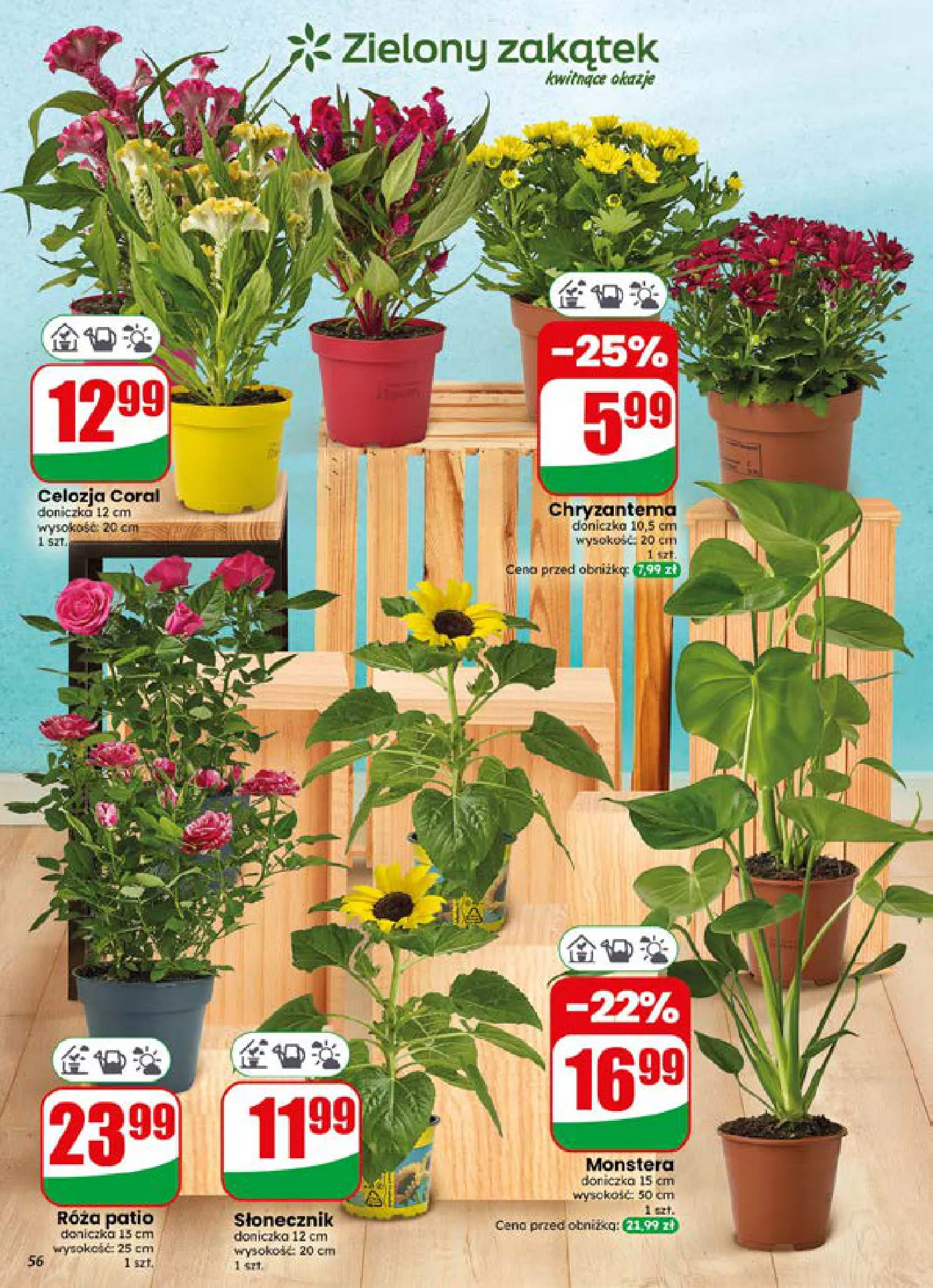 Gazetka promocyjna DINO str. 56
