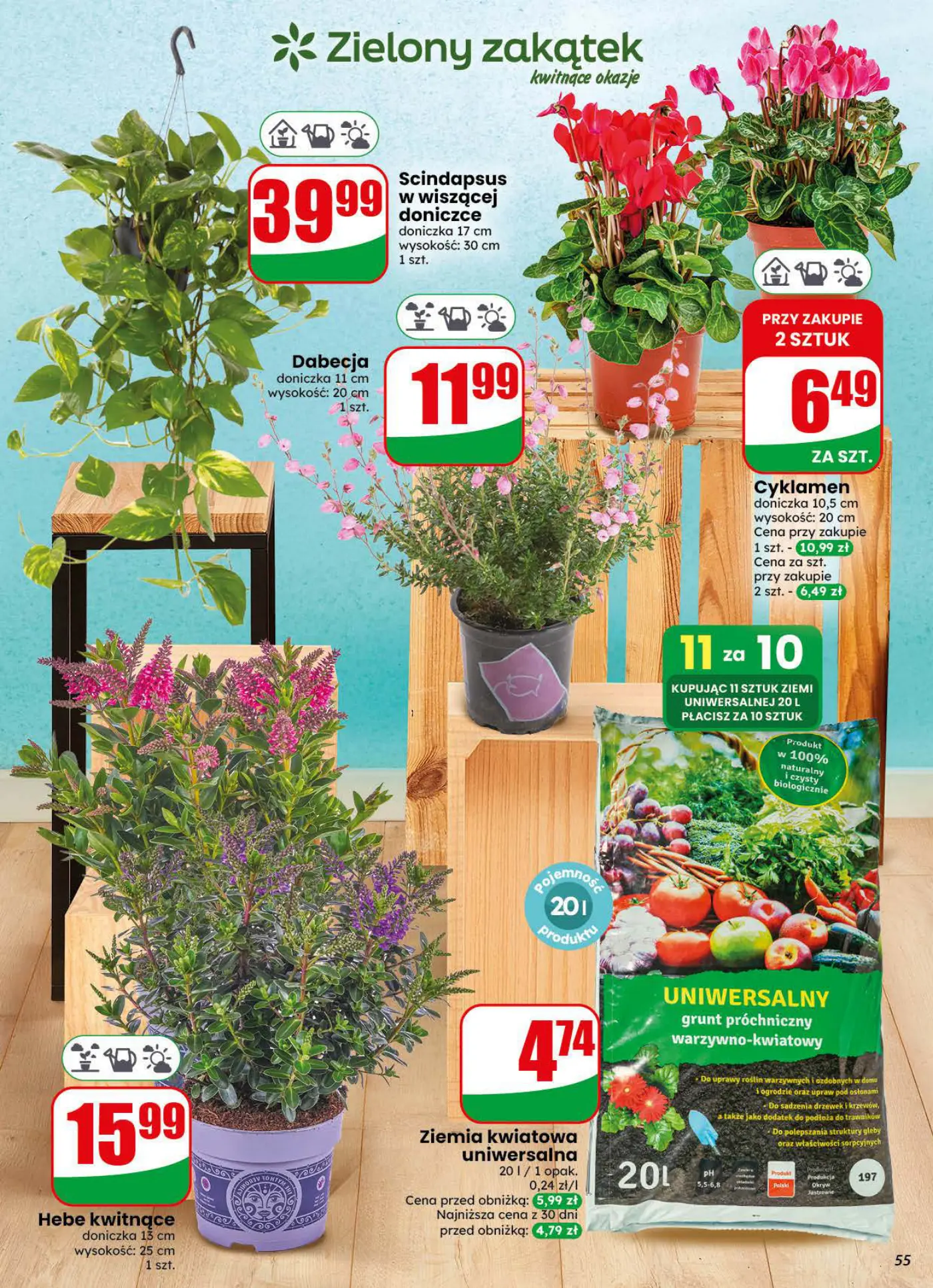 Gazetka promocyjna DINO str. 55