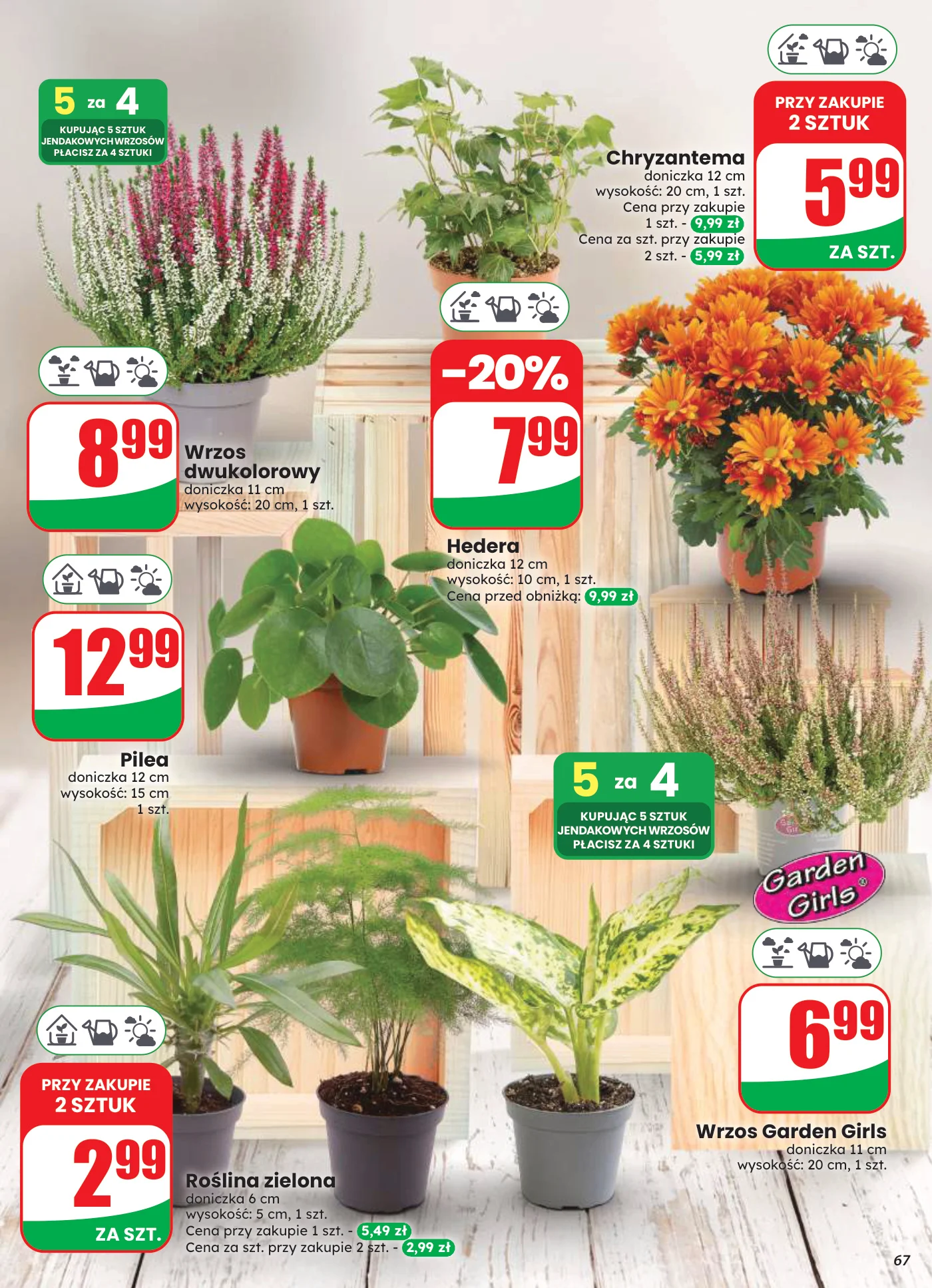Gazetka promocyjna DINO str. 67