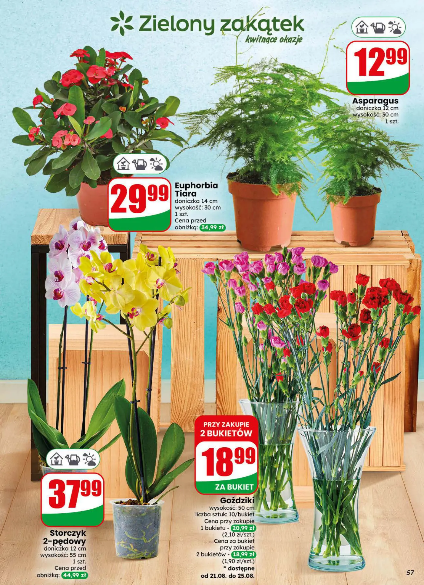 Gazetka promocyjna DINO str. 57