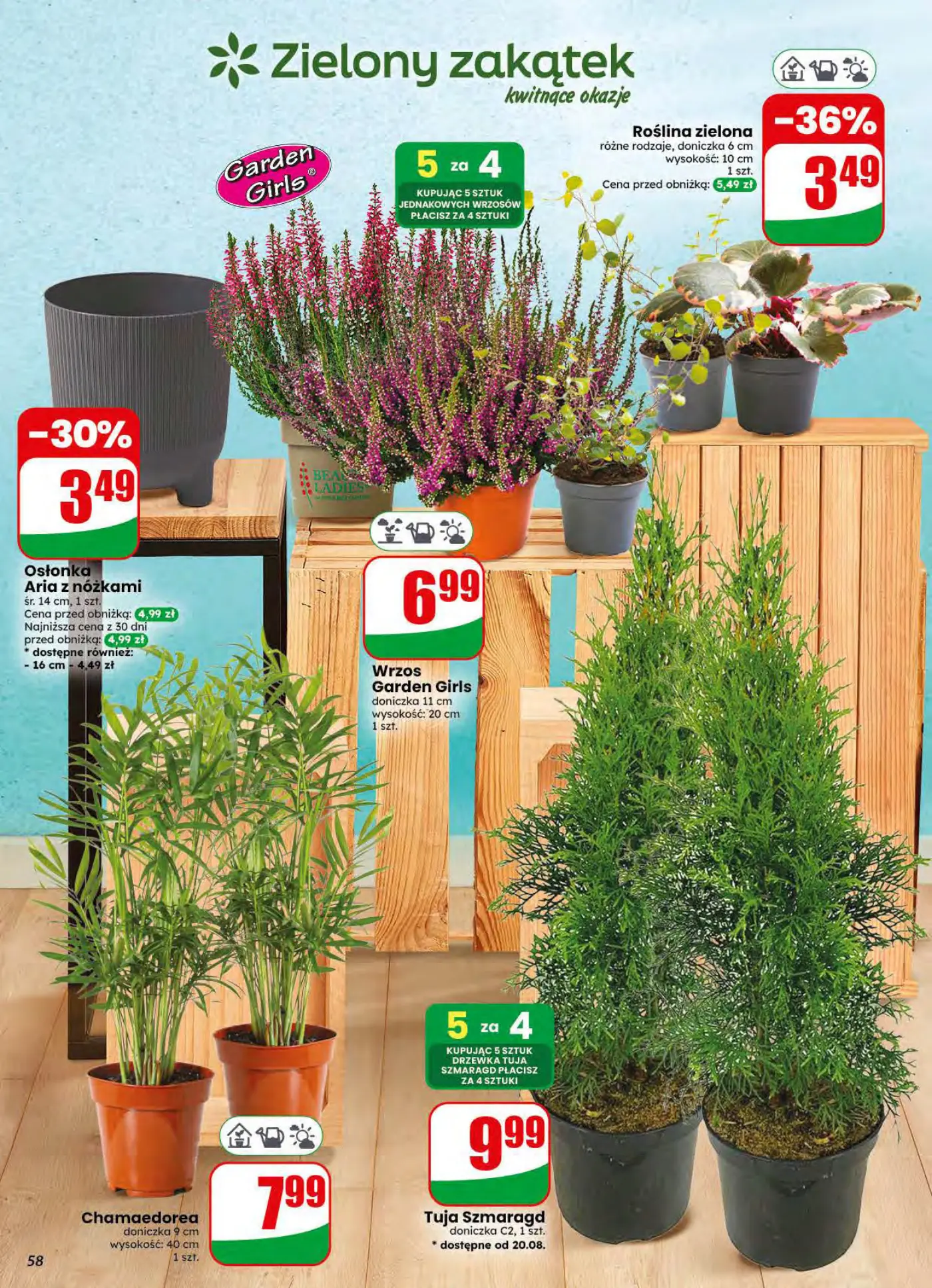 Gazetka promocyjna DINO str. 58