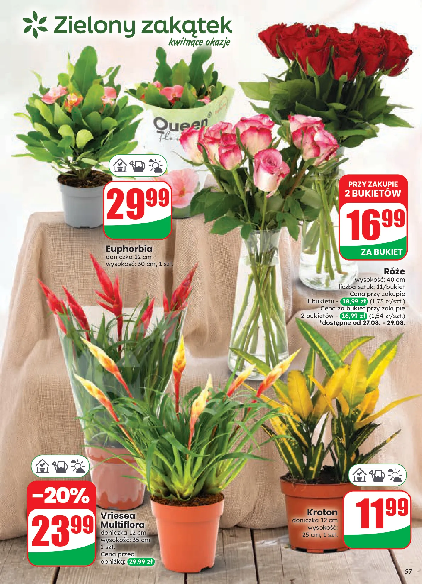 Gazetka promocyjna DINO str. 57