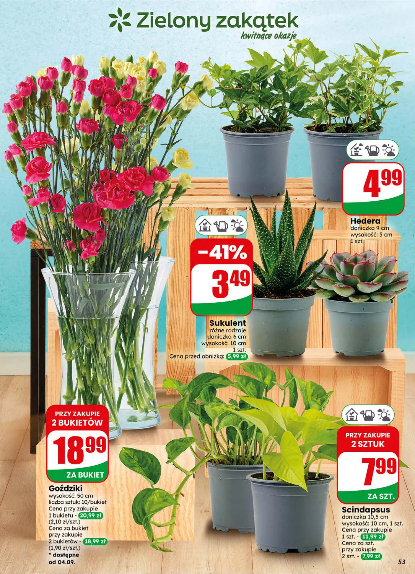 Gazetka promocyjna DINO str. 53