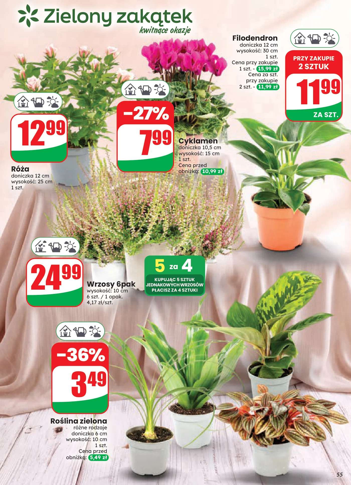 Gazetka promocyjna DINO str. 55