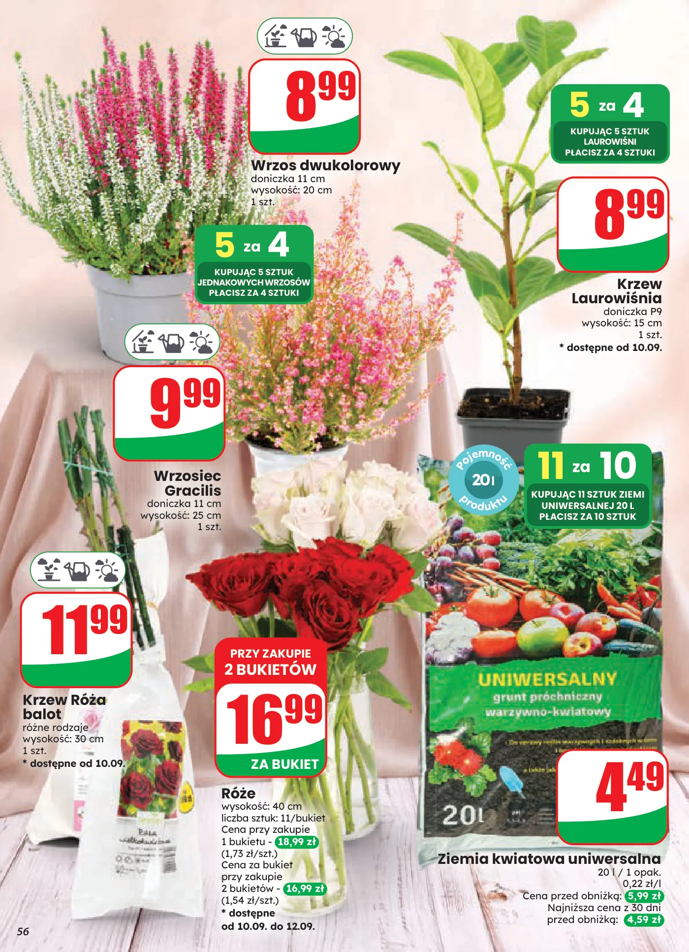 Gazetka promocyjna DINO str. 56