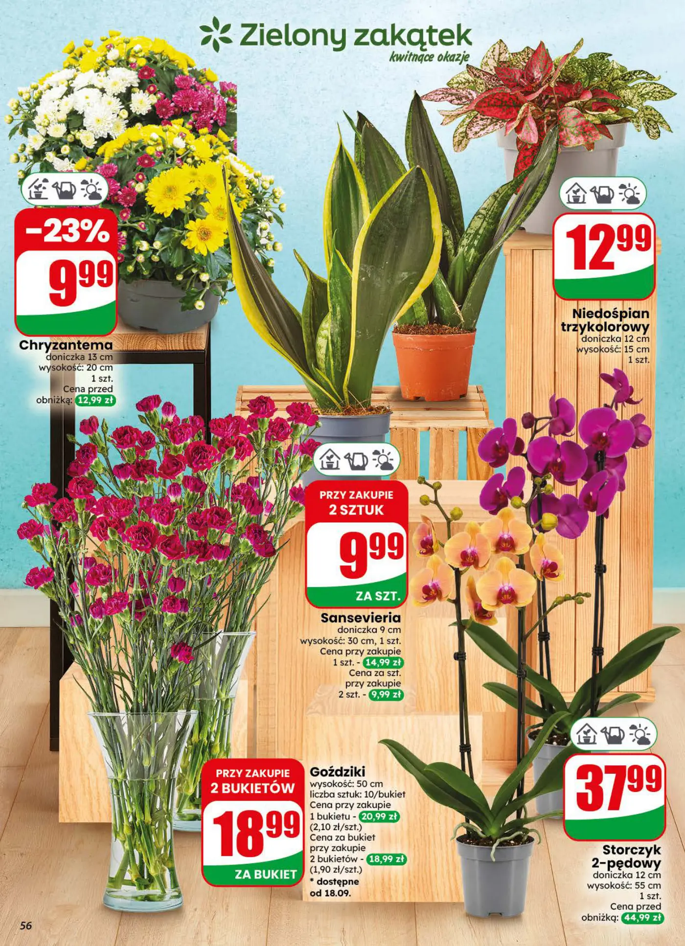 Gazetka promocyjna DINO str. 56