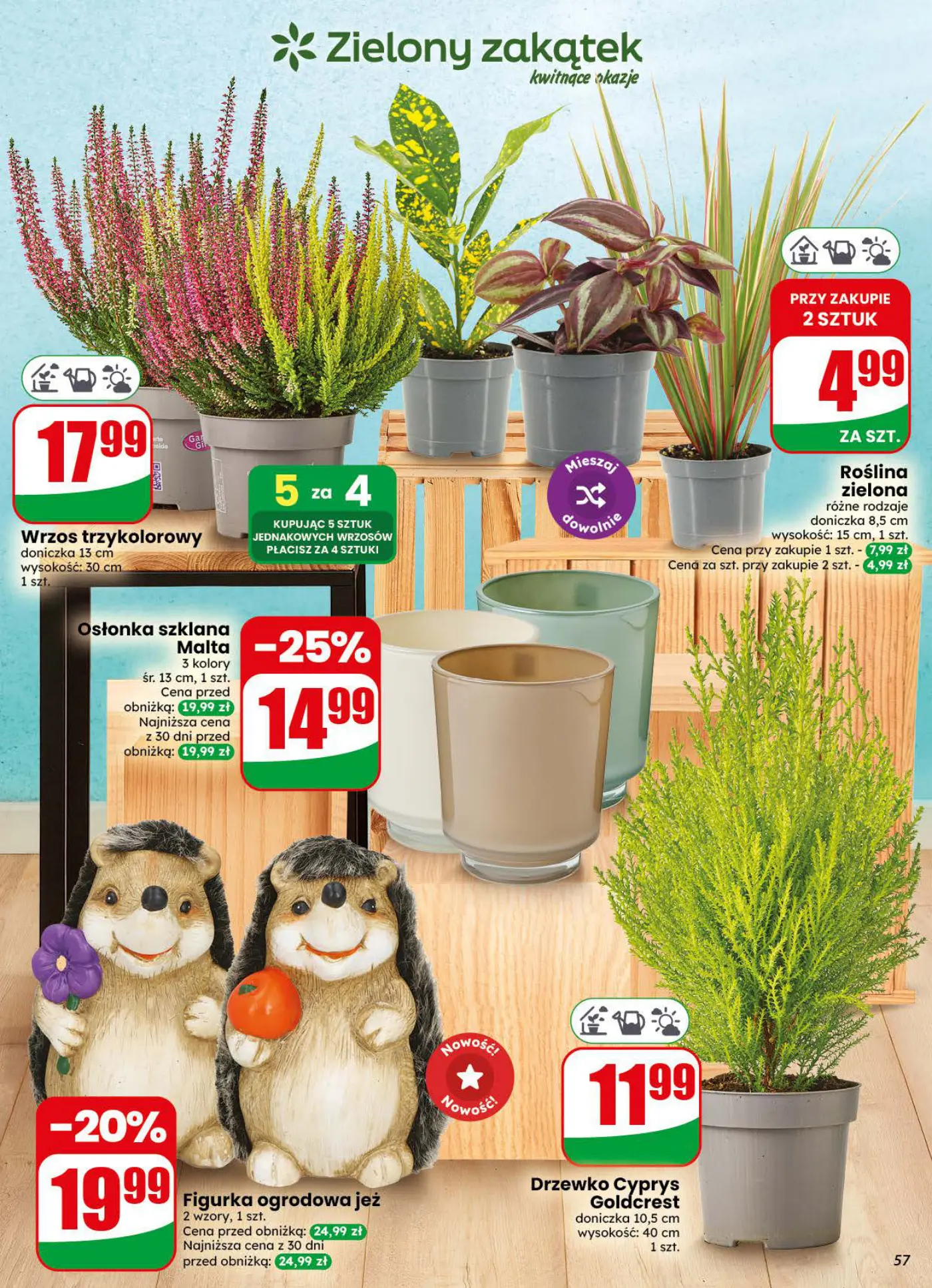 Gazetka promocyjna DINO str. 57