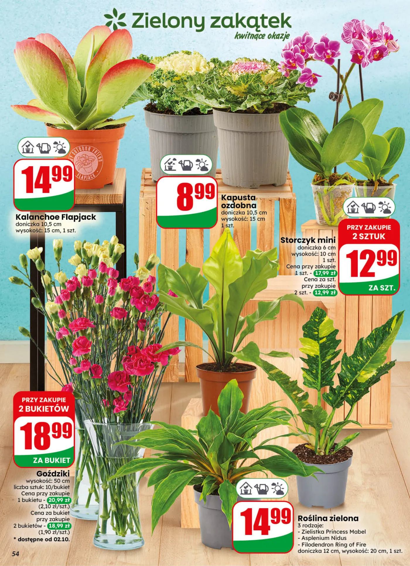Gazetka promocyjna DINO str. 54
