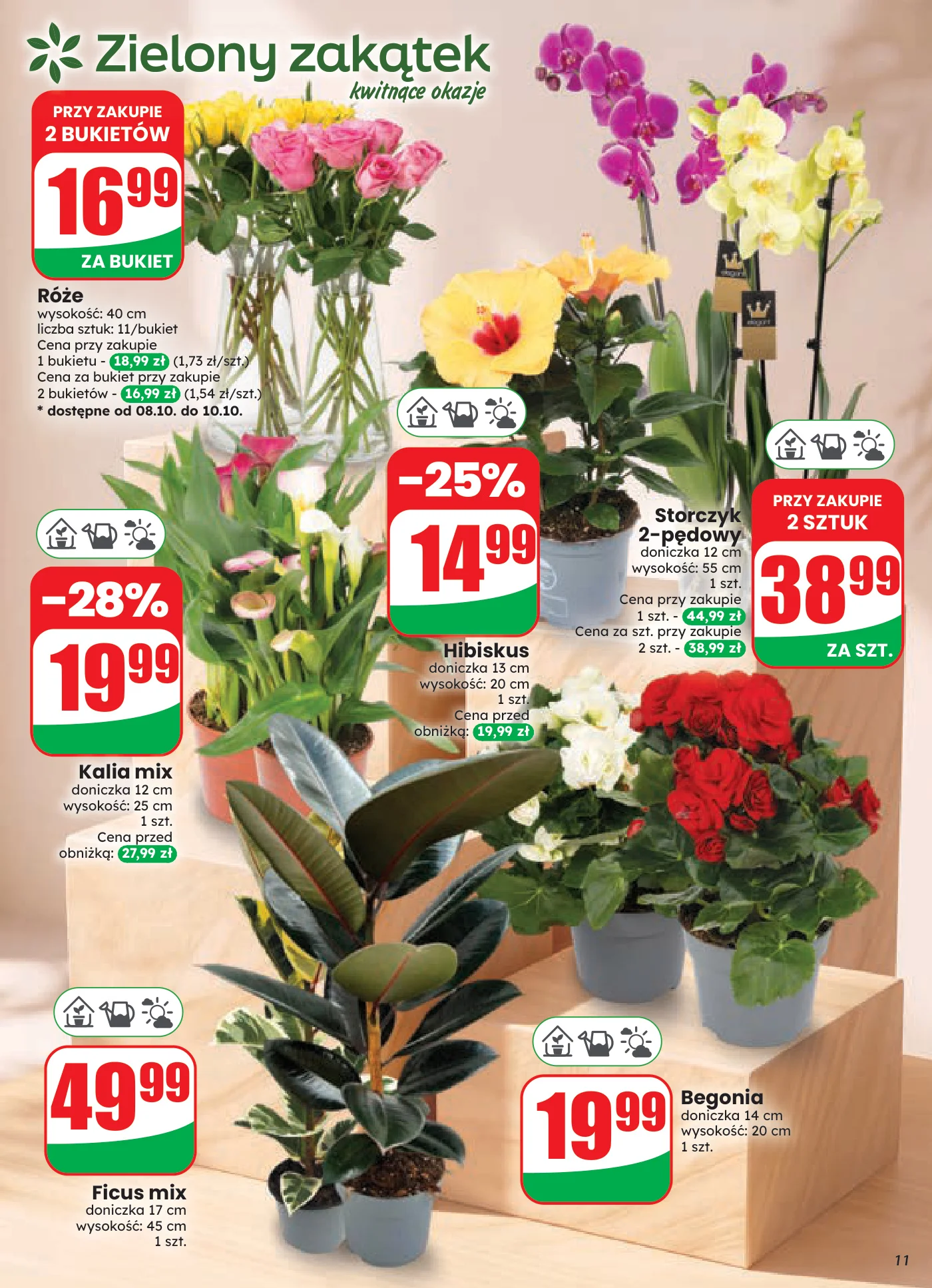 Gazetka promocyjna DINO str. 11