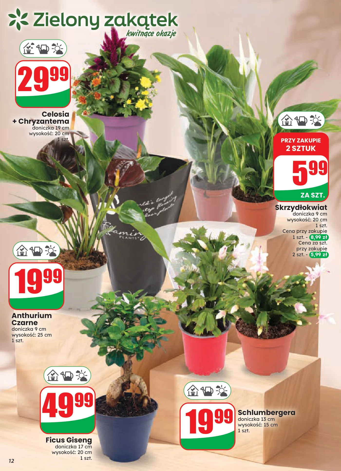 Gazetka promocyjna DINO str. 12