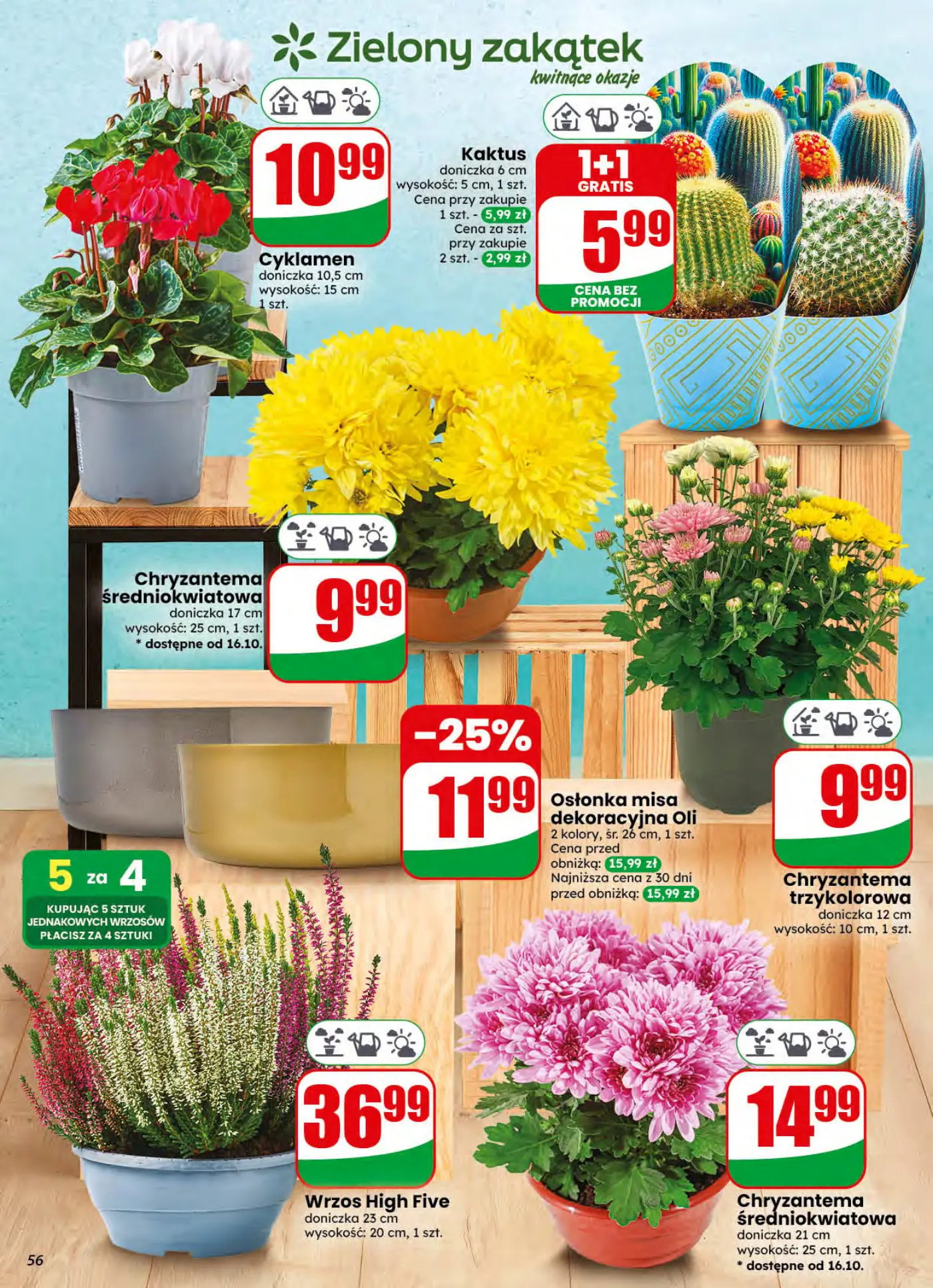 Gazetka promocyjna DINO str. 56