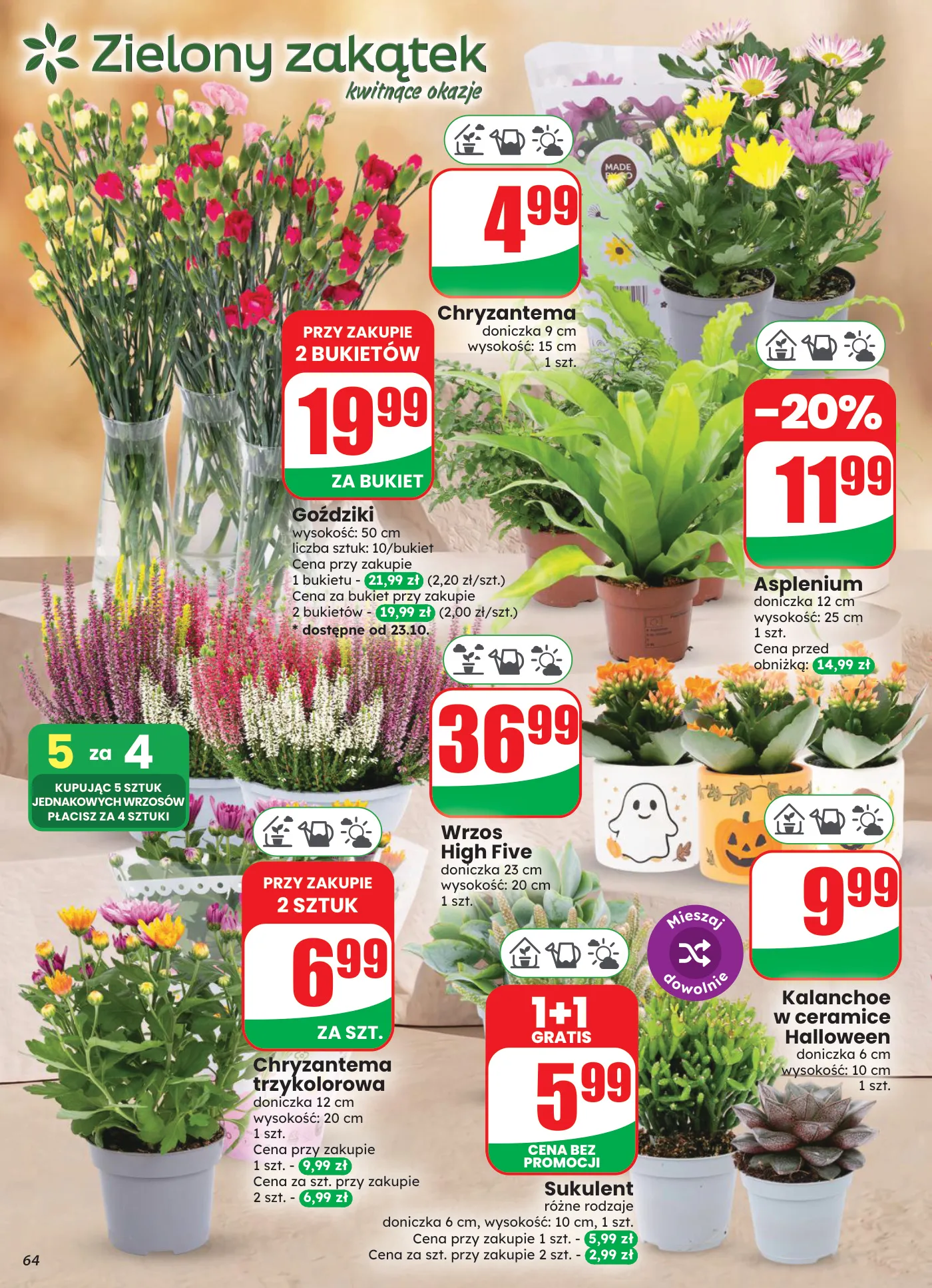Gazetka promocyjna DINO str. 64