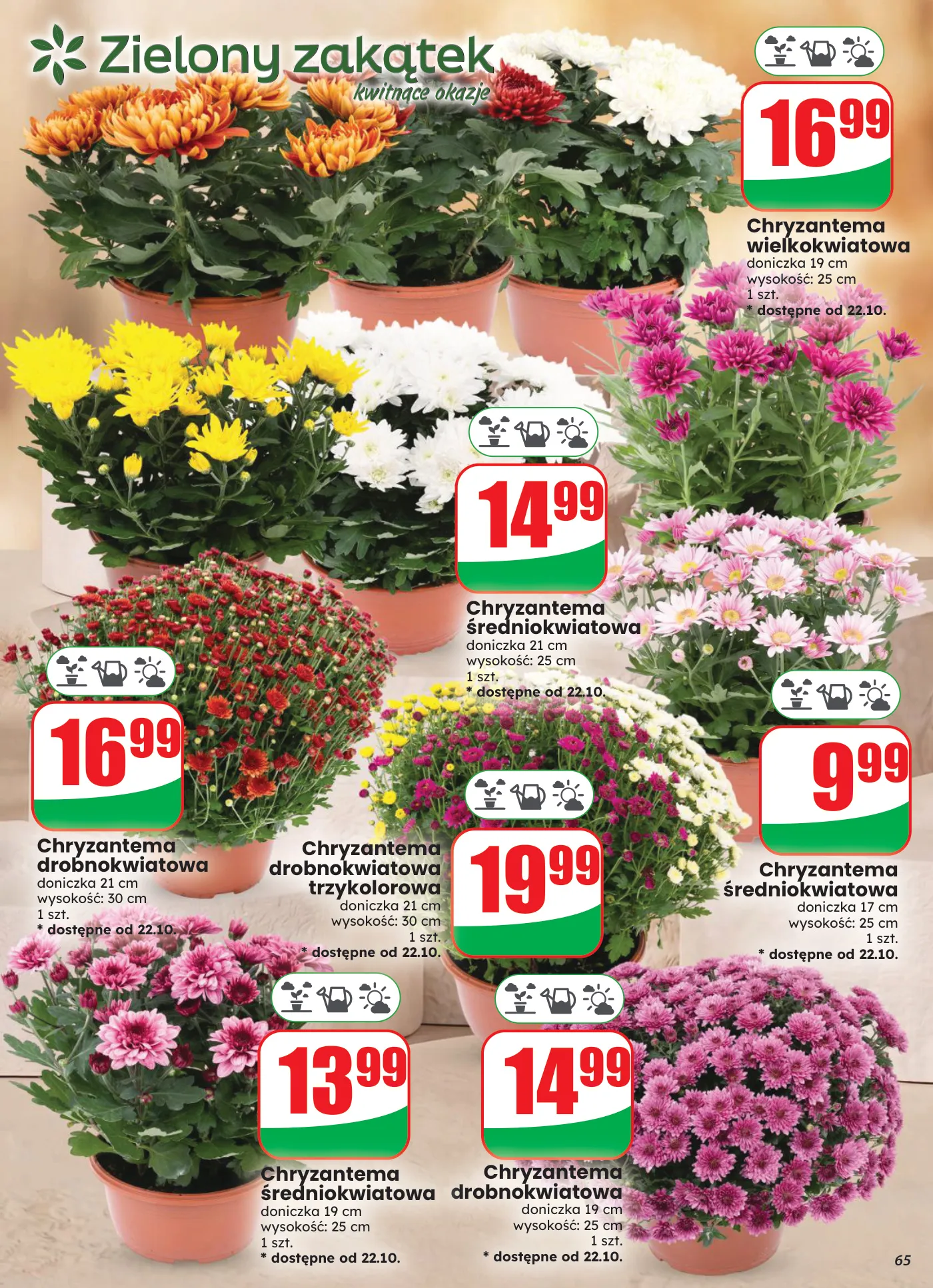 Gazetka promocyjna DINO str. 65