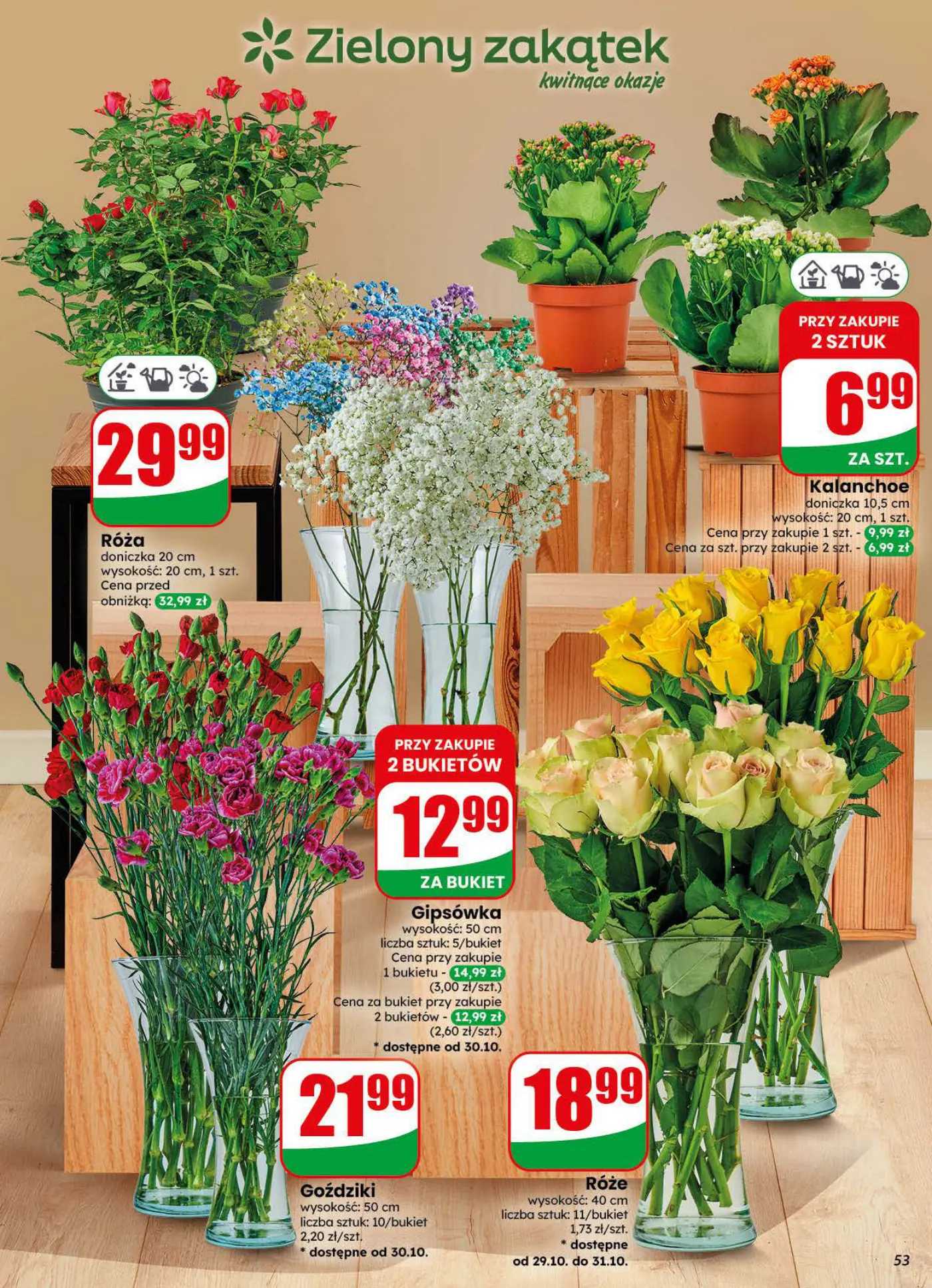 Gazetka promocyjna DINO str. 53