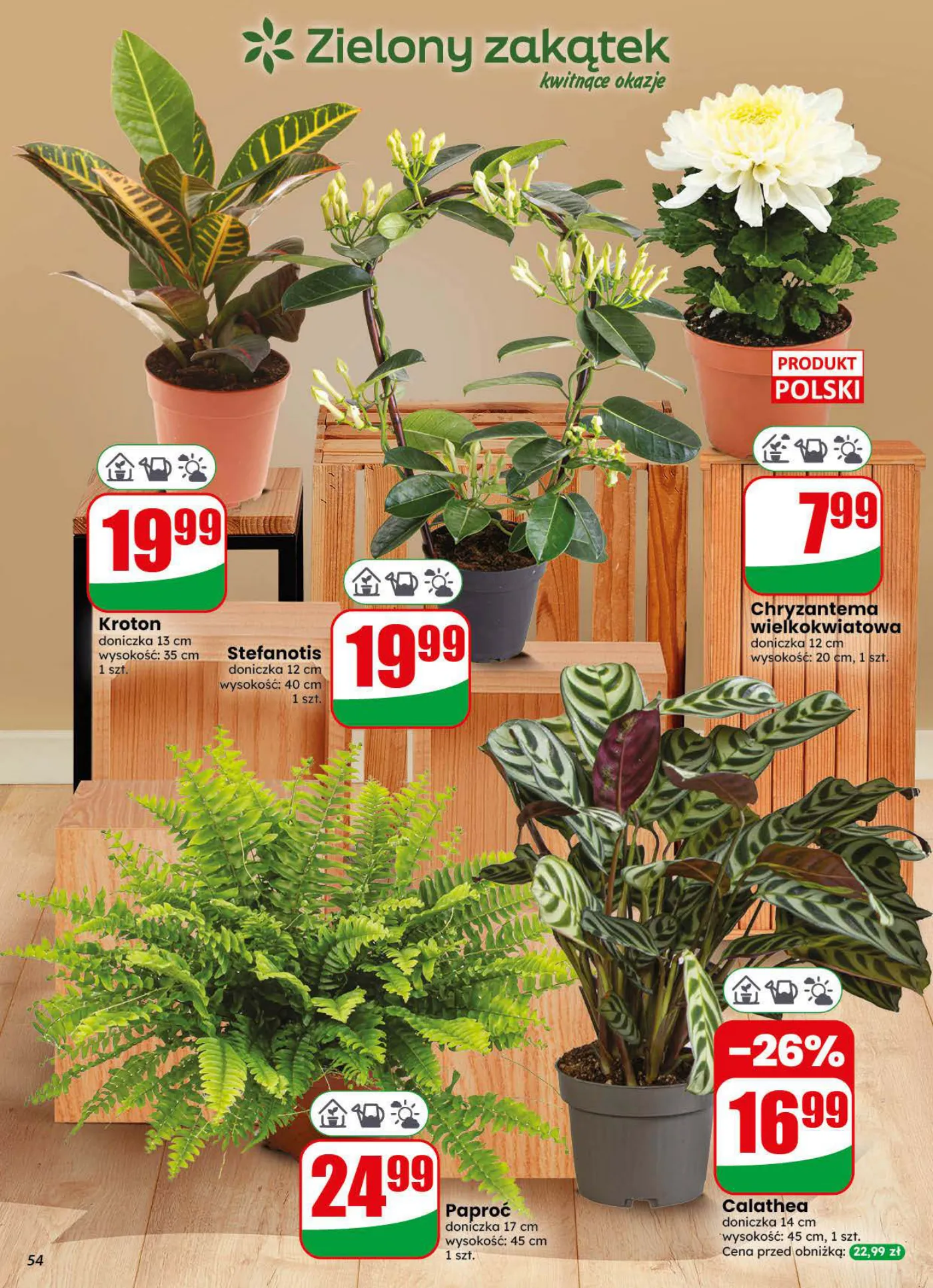 Gazetka promocyjna DINO str. 54