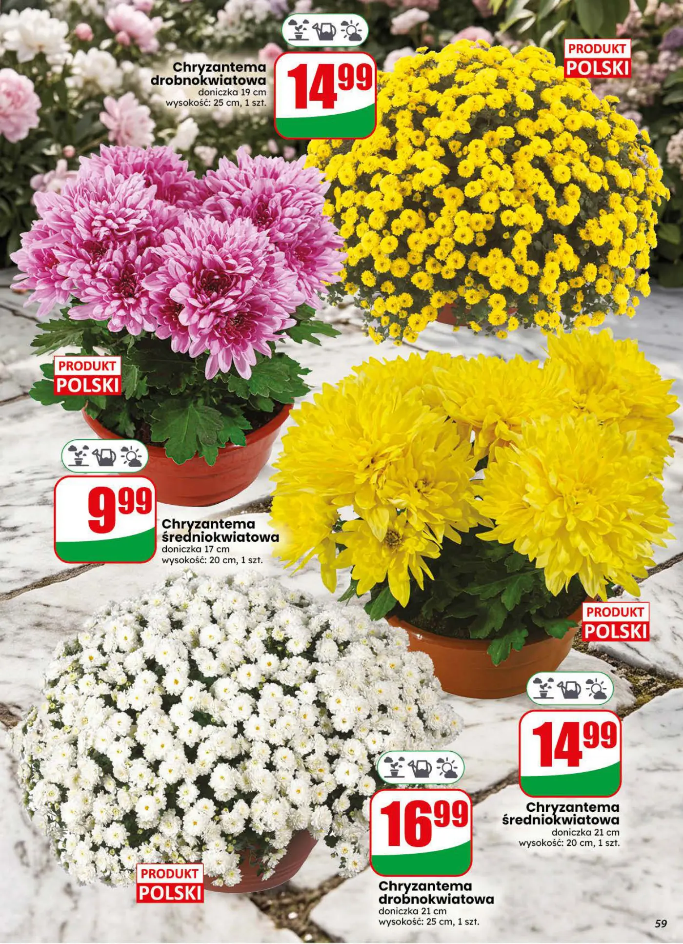 Gazetka promocyjna DINO str. 59