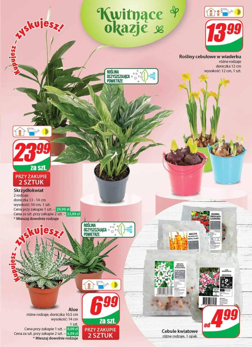 Gazetka promocyjna DINO str. 45