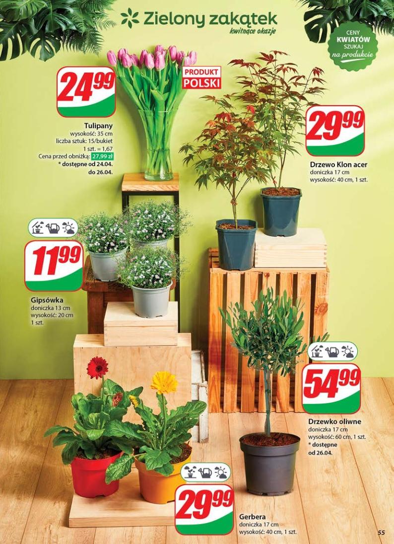 Gazetka promocyjna DINO str. 55