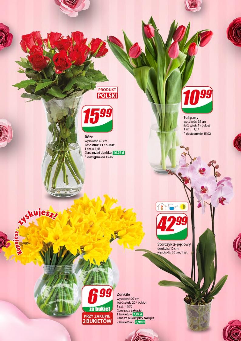 Gazetka promocyjna DINO str. 10