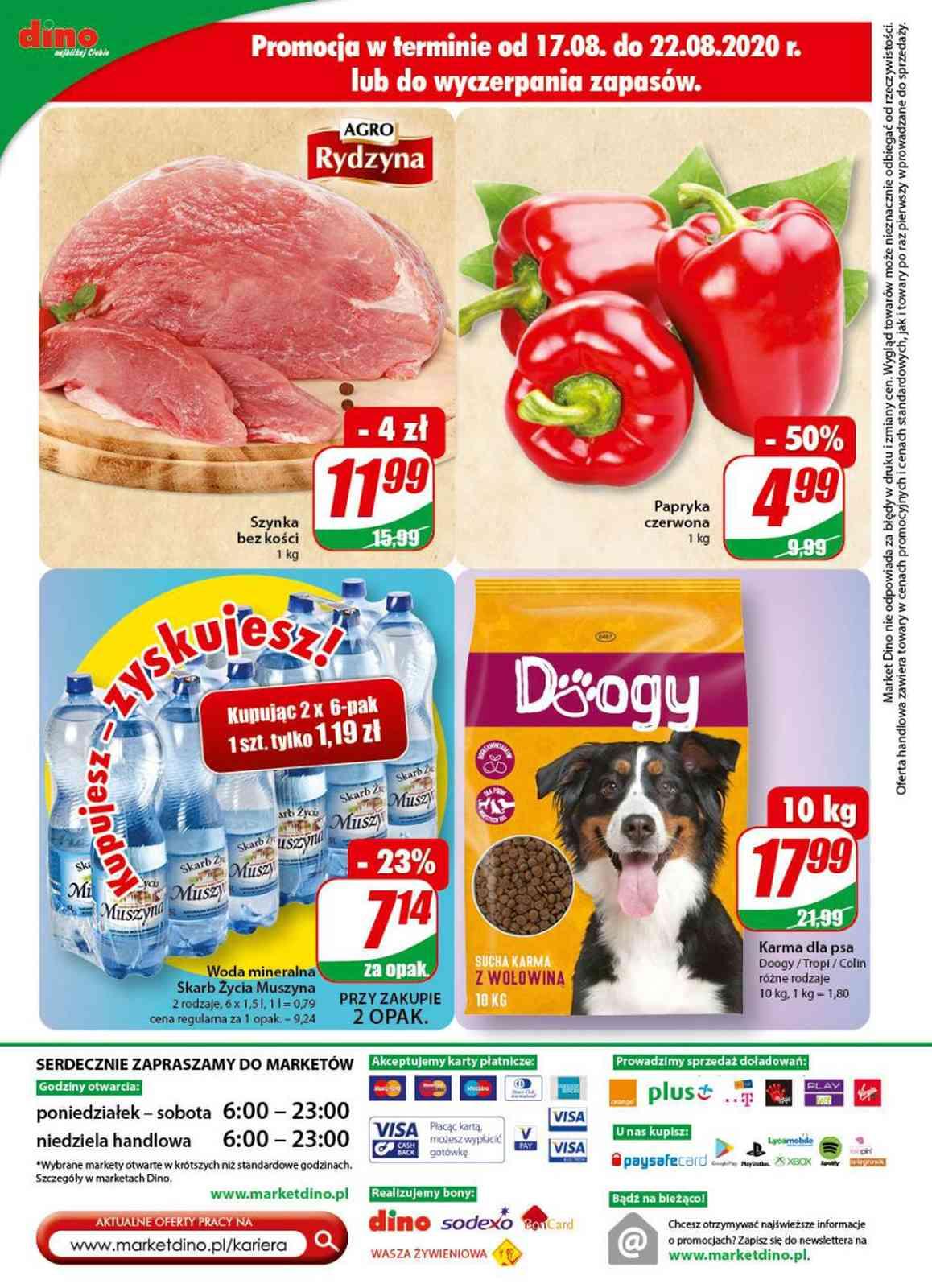 Gazetka promocyjna DINO str. 18