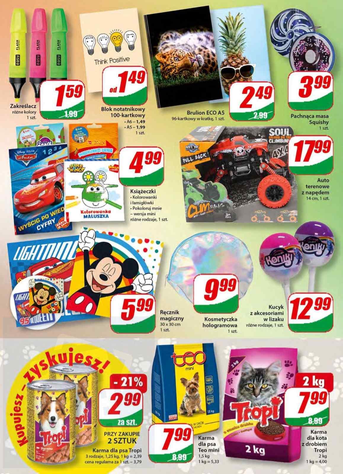 Gazetka promocyjna DINO str. 13