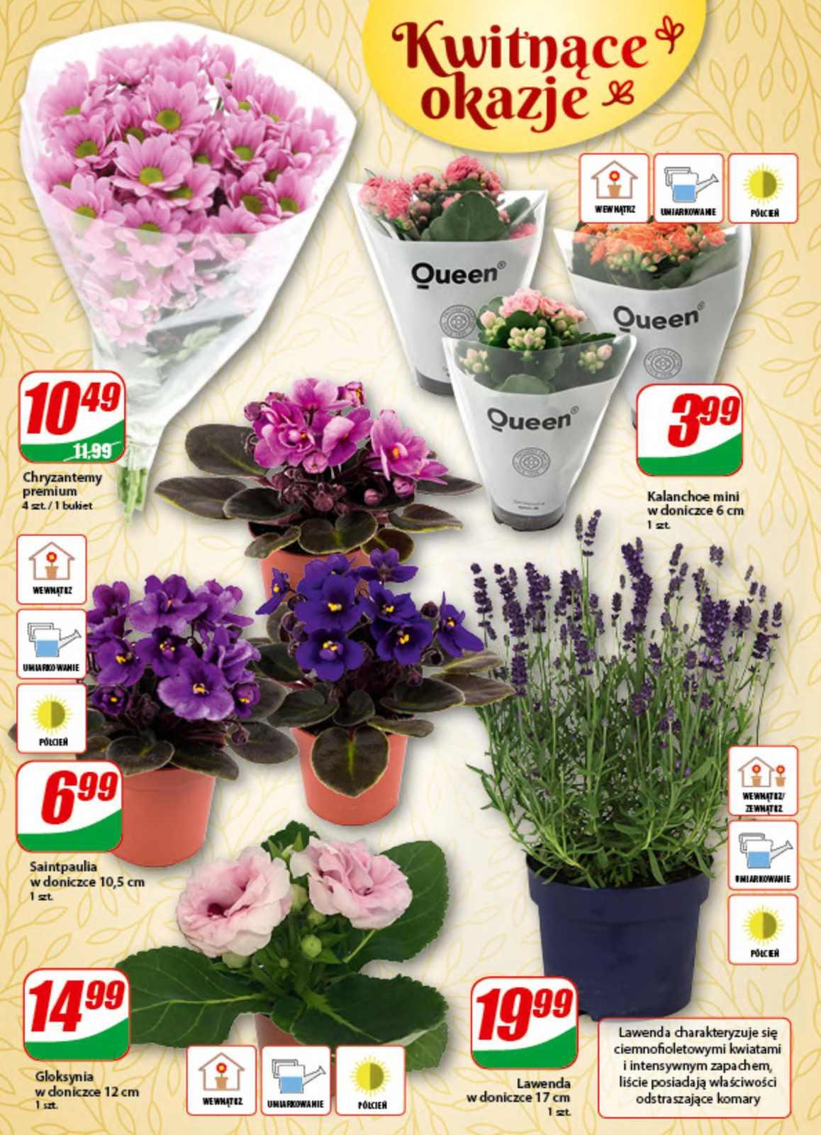 Gazetka promocyjna DINO str. 14