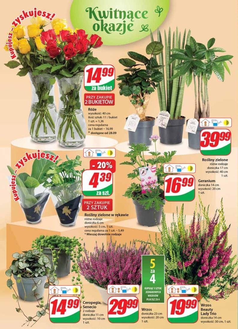 Gazetka promocyjna DINO str. 16