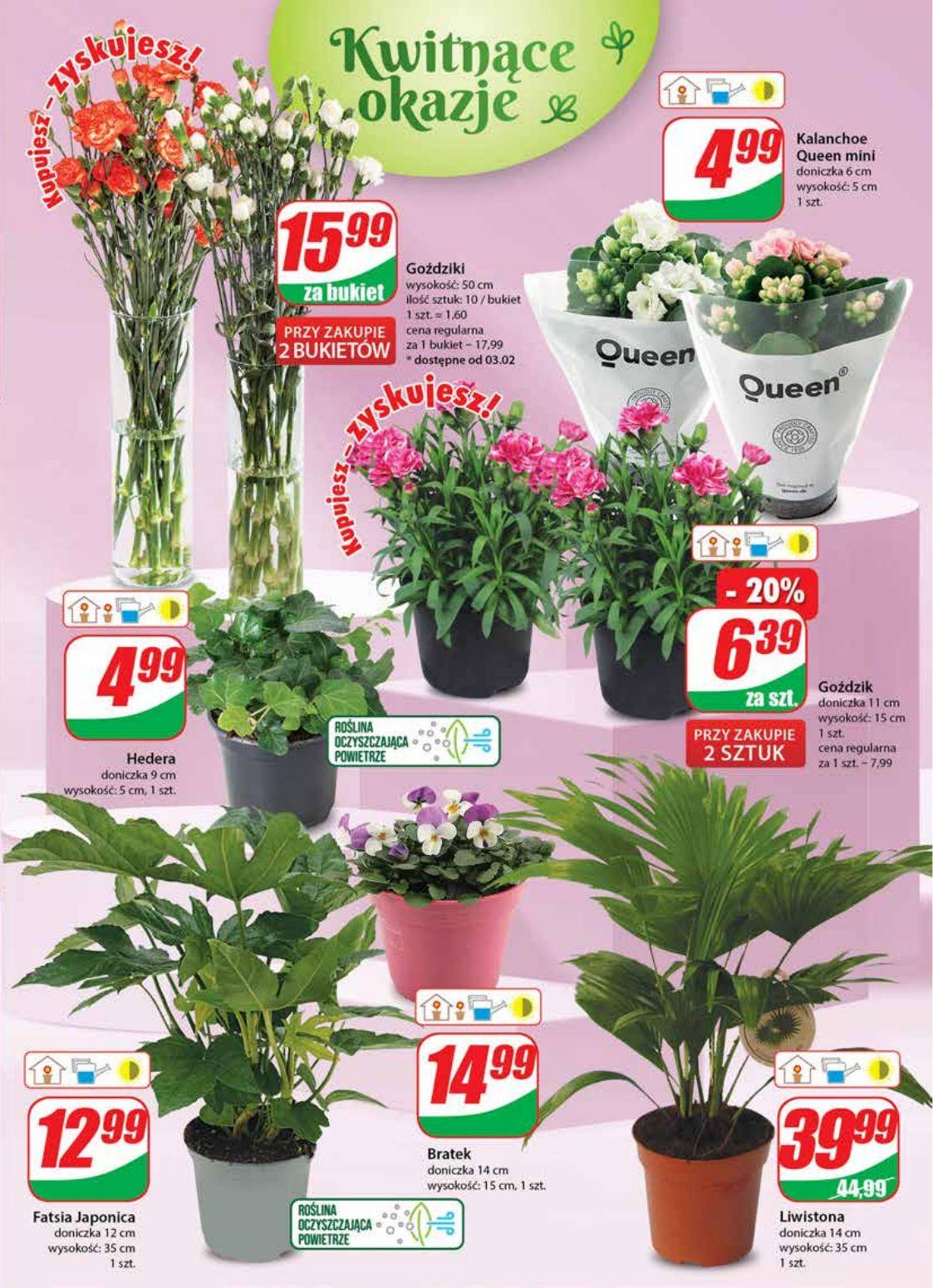 Gazetka promocyjna DINO str. 19