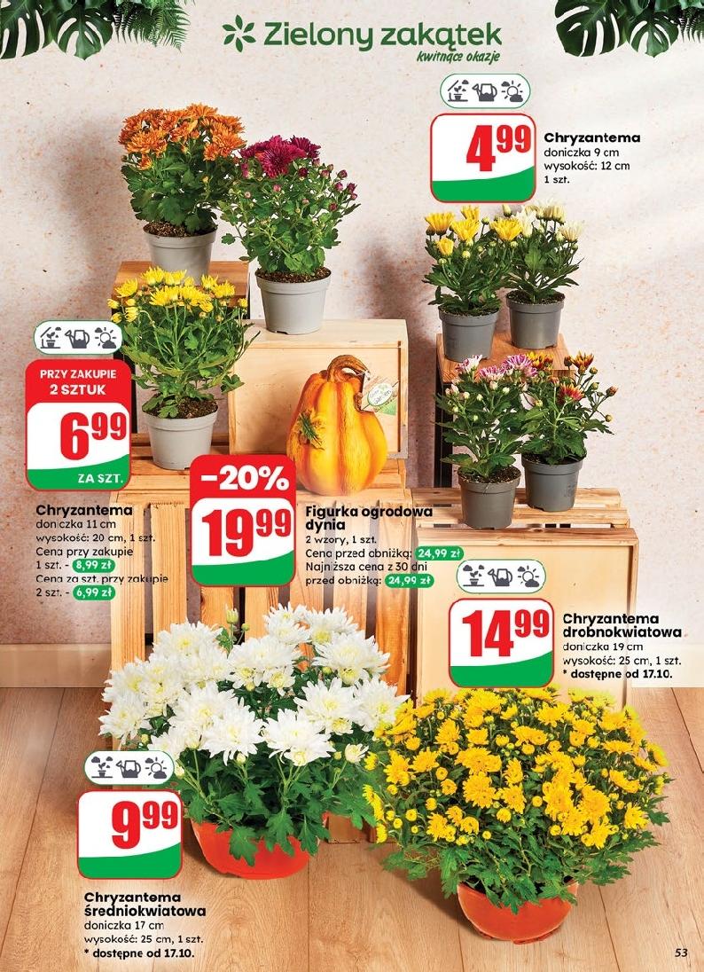 Gazetka promocyjna DINO str. 53