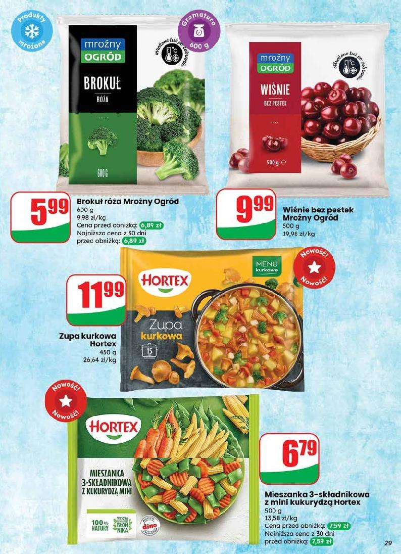 Gazetka promocyjna DINO str. 28