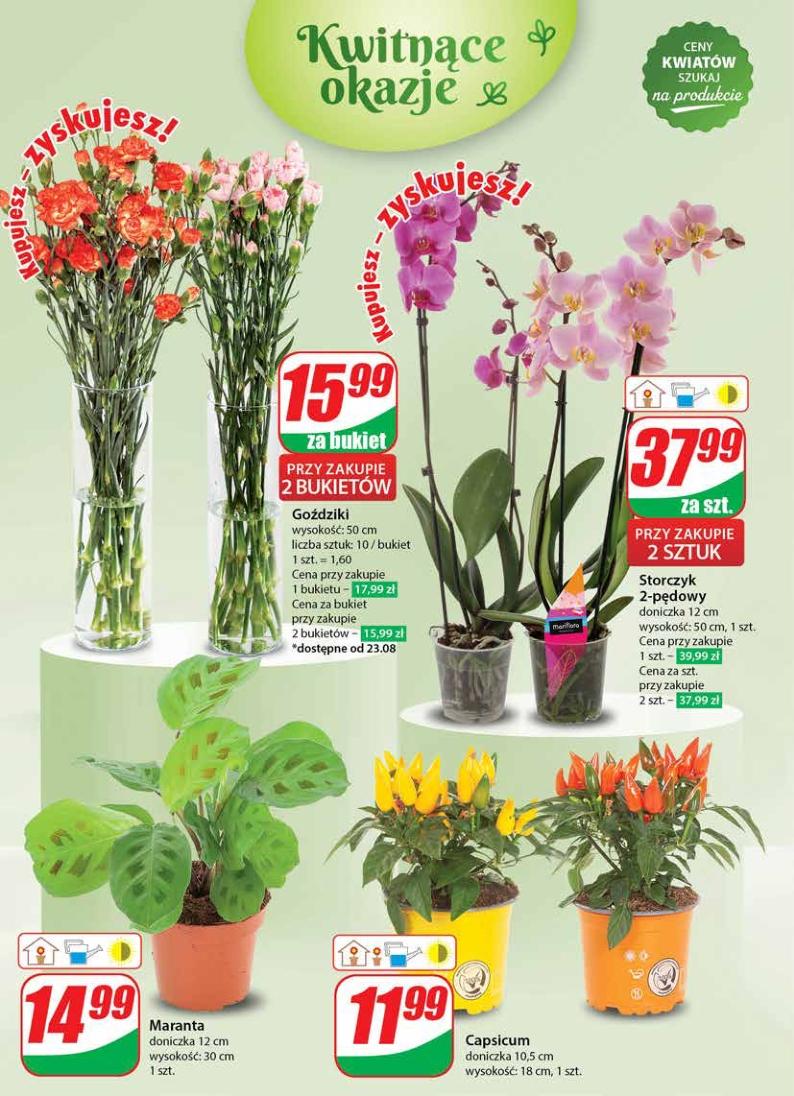 Gazetka promocyjna DINO str. 52