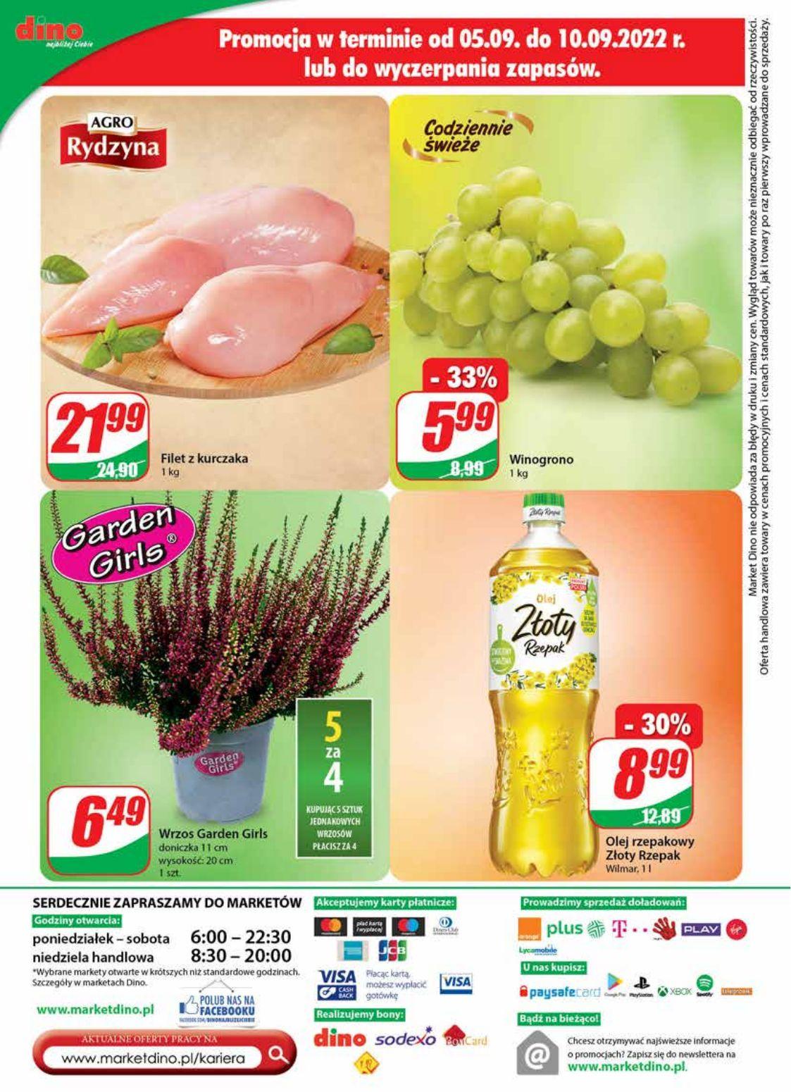 Gazetka promocyjna DINO str. 24