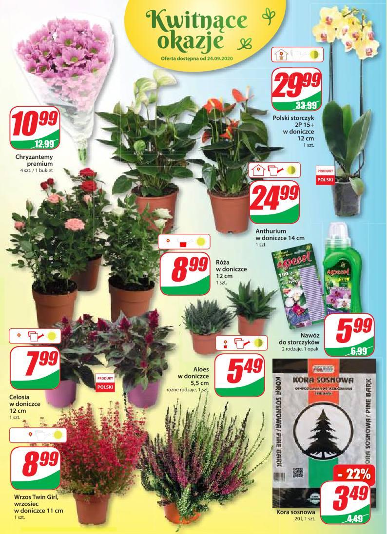 Gazetka promocyjna DINO str. 16