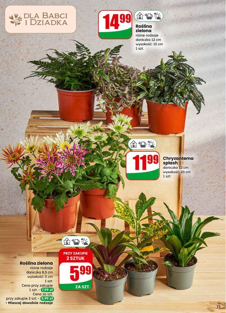 Gazetka promocyjna DINO str. 15