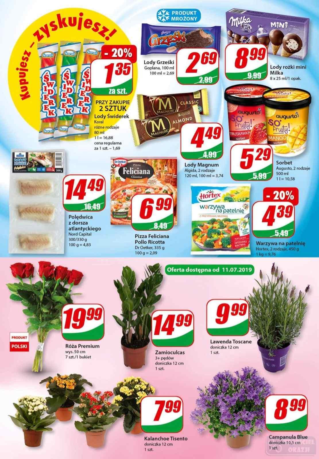 Gazetka promocyjna DINO str. 6