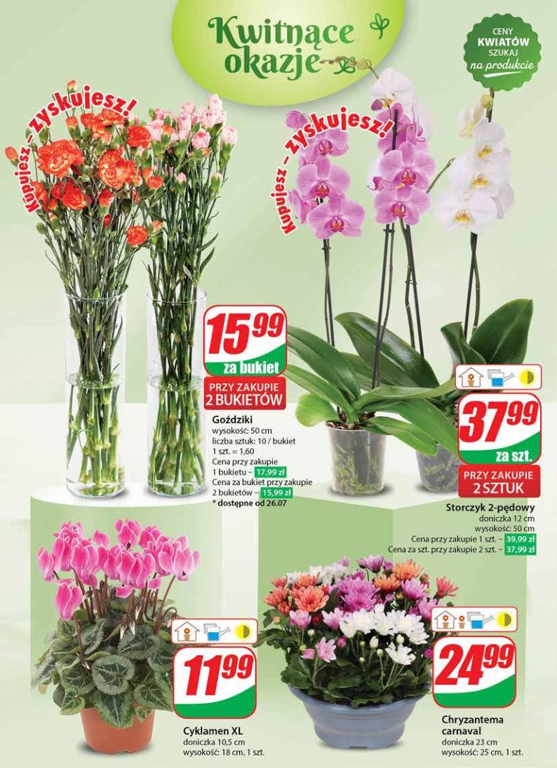 Gazetka promocyjna DINO str. 50