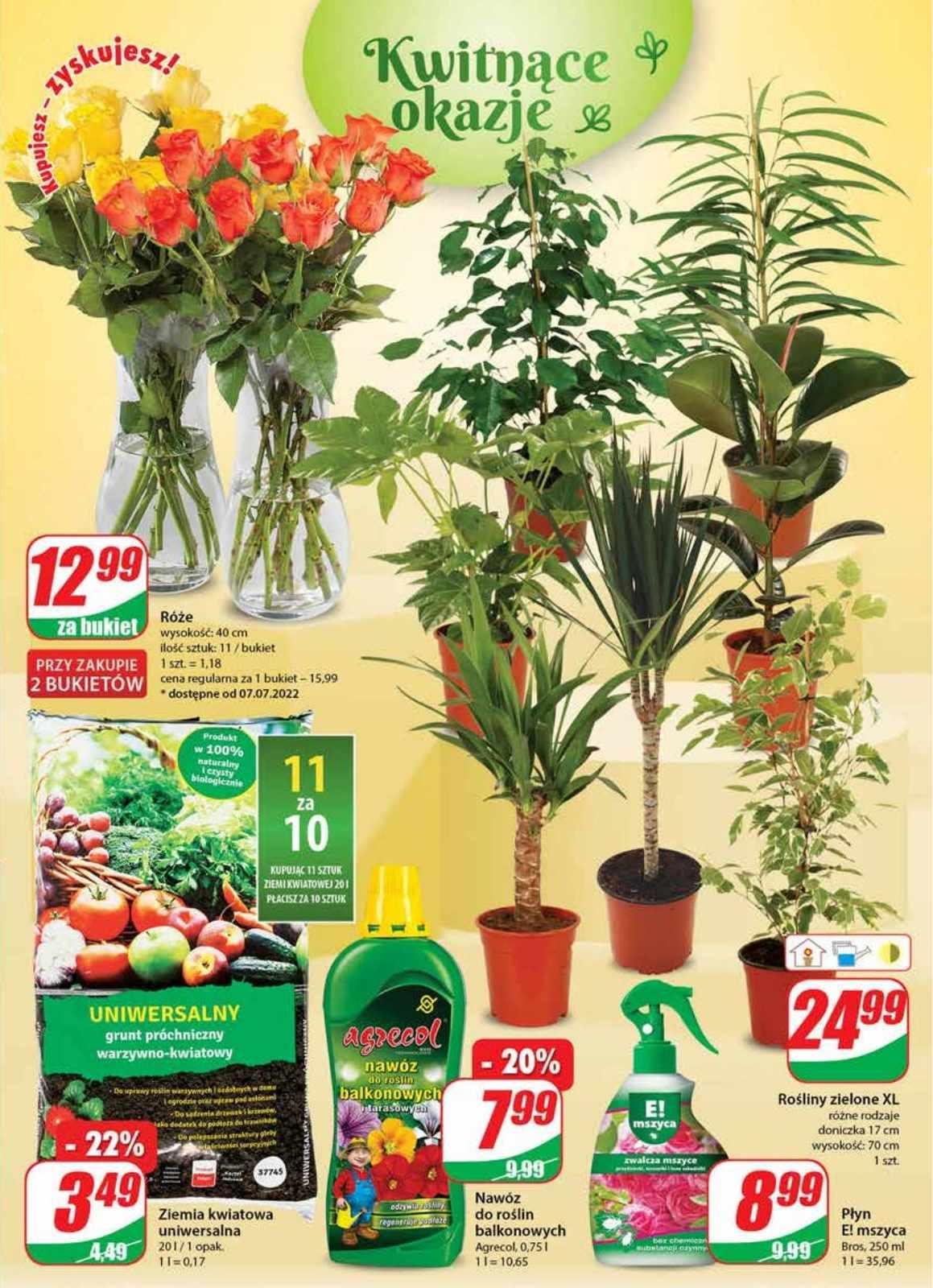 Gazetka promocyjna DINO str. 19