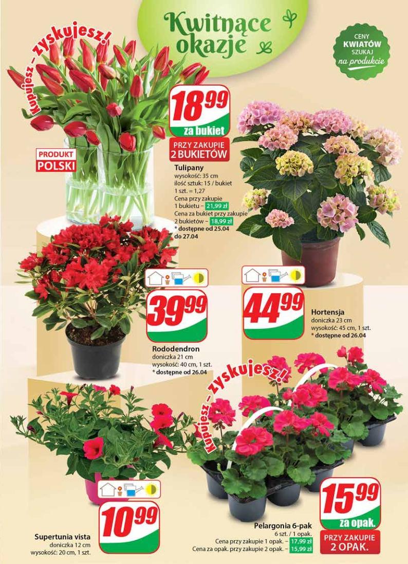 Gazetka promocyjna DINO str. 50