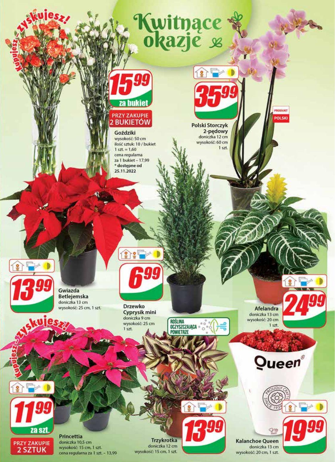 Gazetka promocyjna DINO str. 21