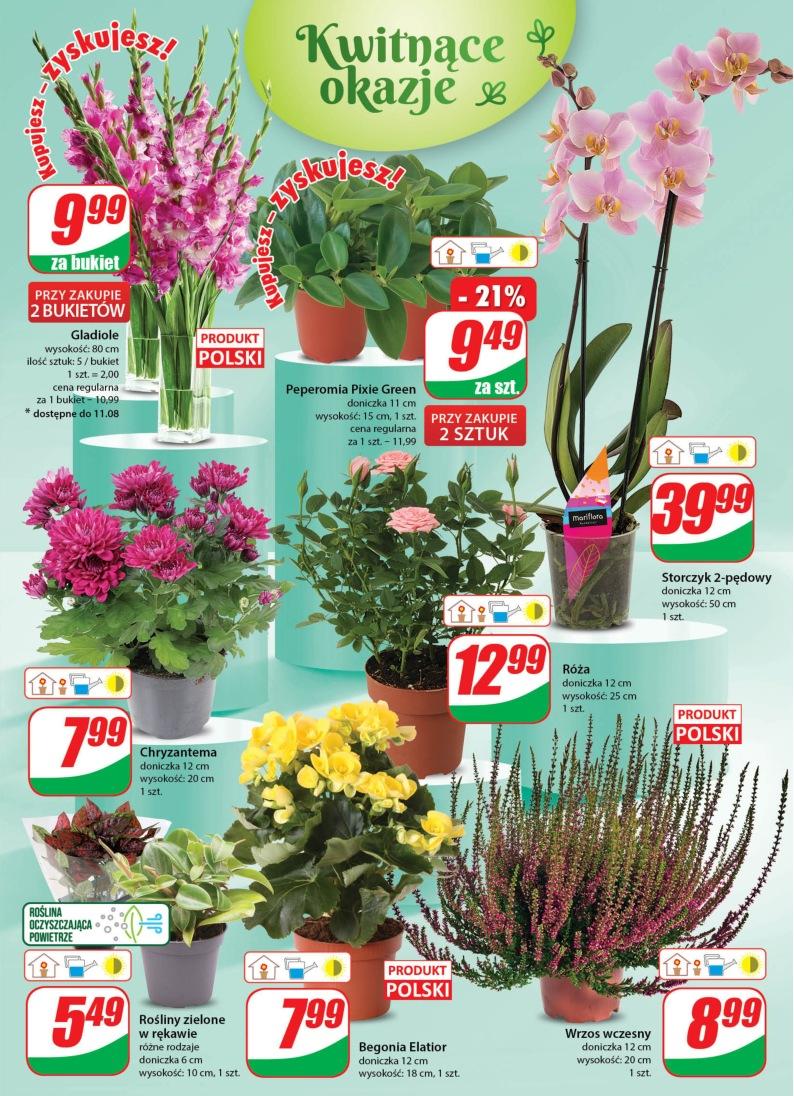 Gazetka promocyjna DINO str. 19