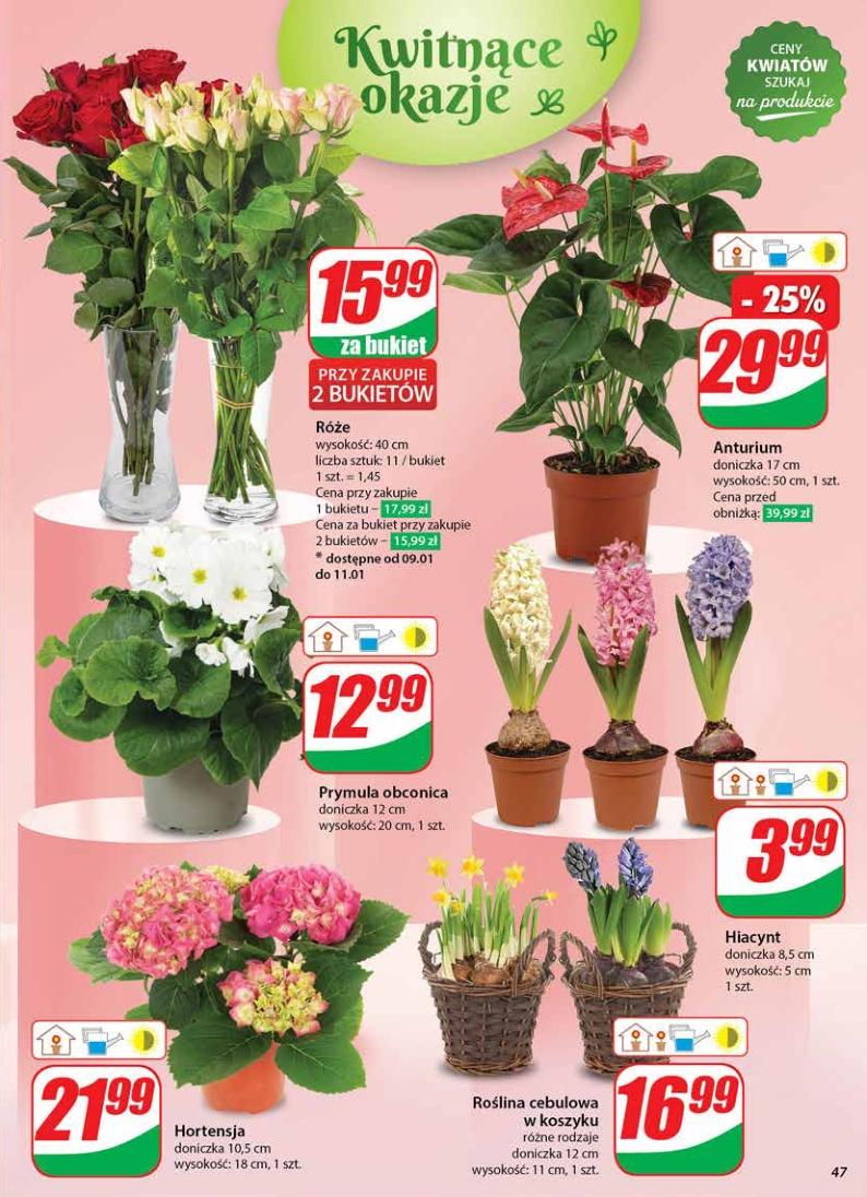 Gazetka promocyjna DINO str. 46