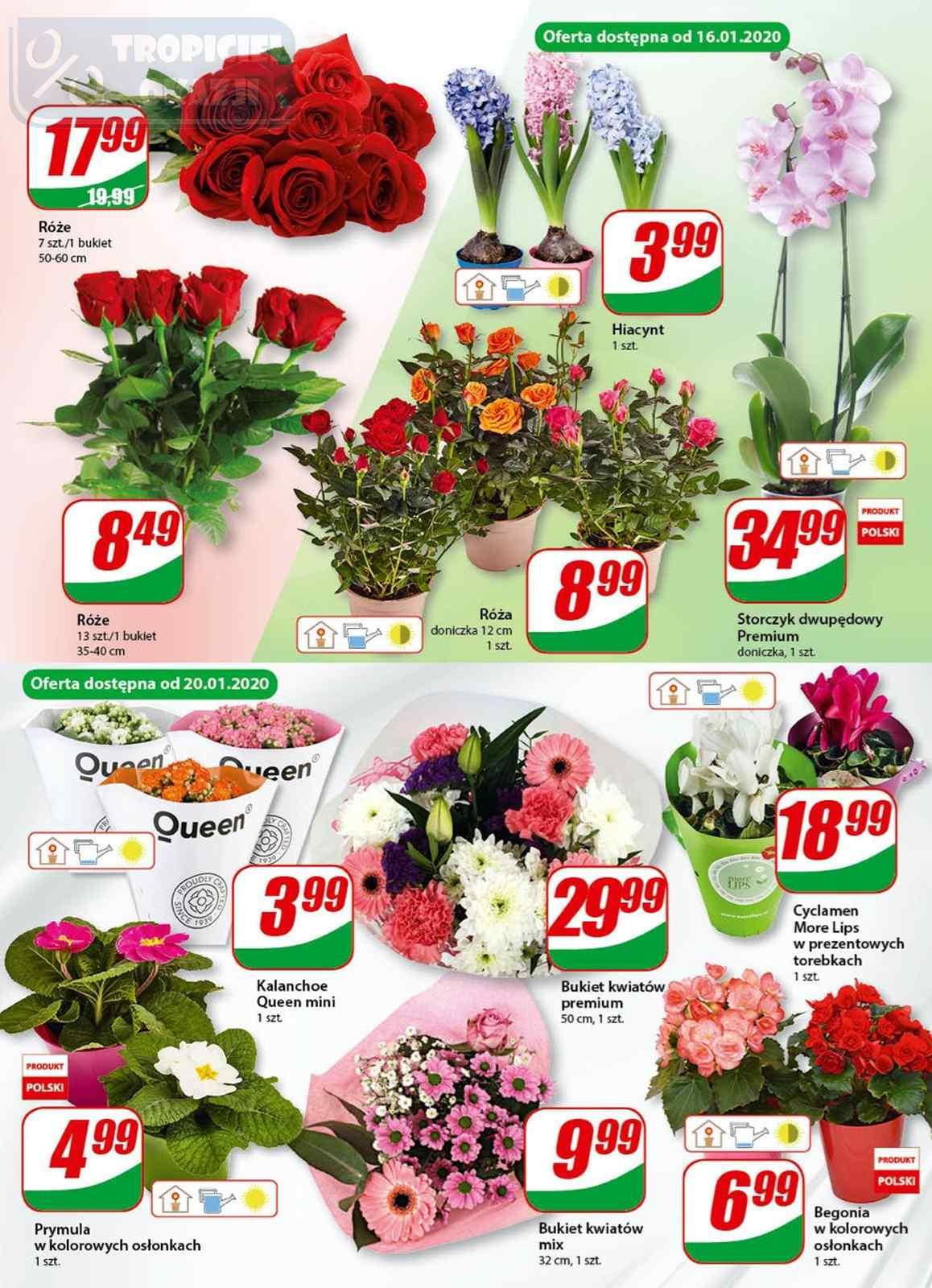 Gazetka promocyjna DINO str. 14